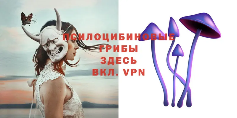 Галлюциногенные грибы мицелий  Кострома 