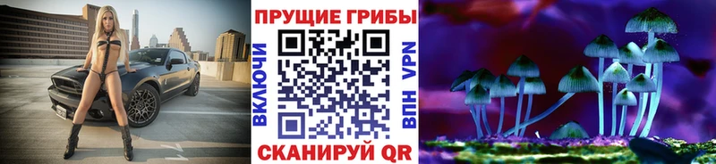 Галлюциногенные грибы MAGIC MUSHROOMS mega рабочий сайт Кострома